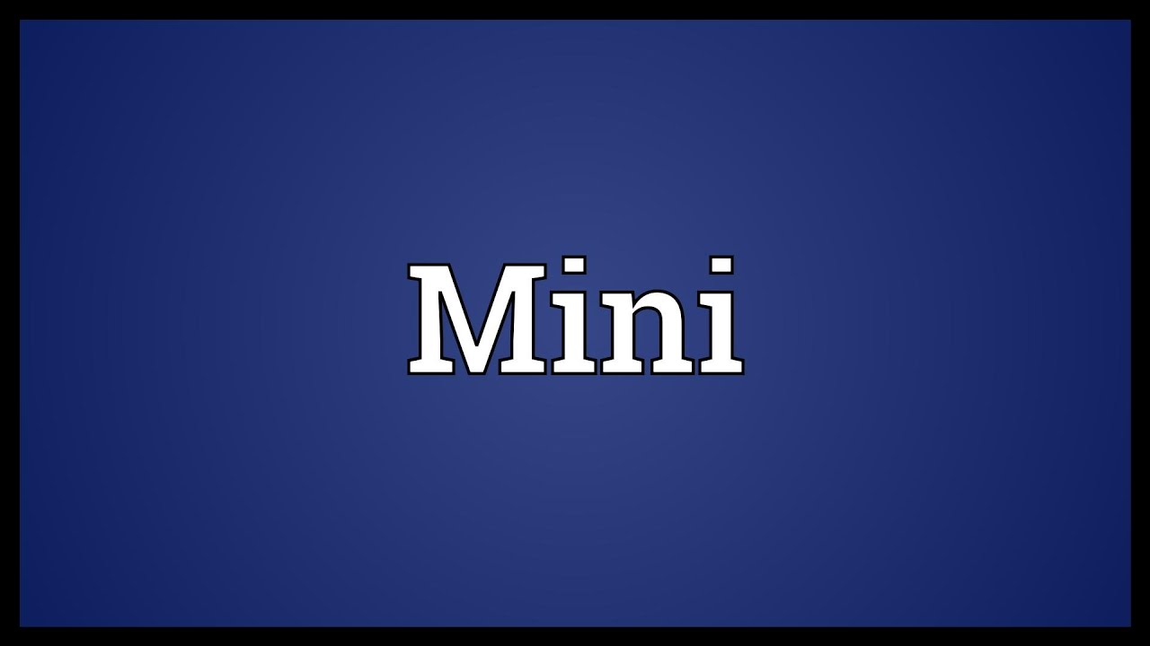 Mini definition